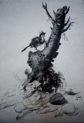 成功轨迹广西分校素描图14