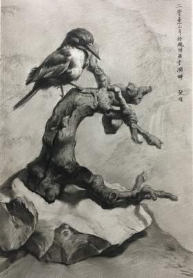 西安兄弟画室美术培训学校素描图7