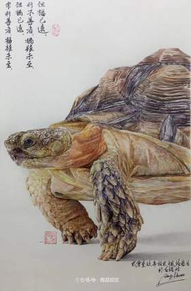 南昌白塔岭画室色彩图7