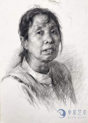 广西卓彩艺术培训学校素描图28